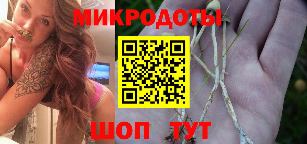 Псилоцибиновые грибы мицелий Острогожск